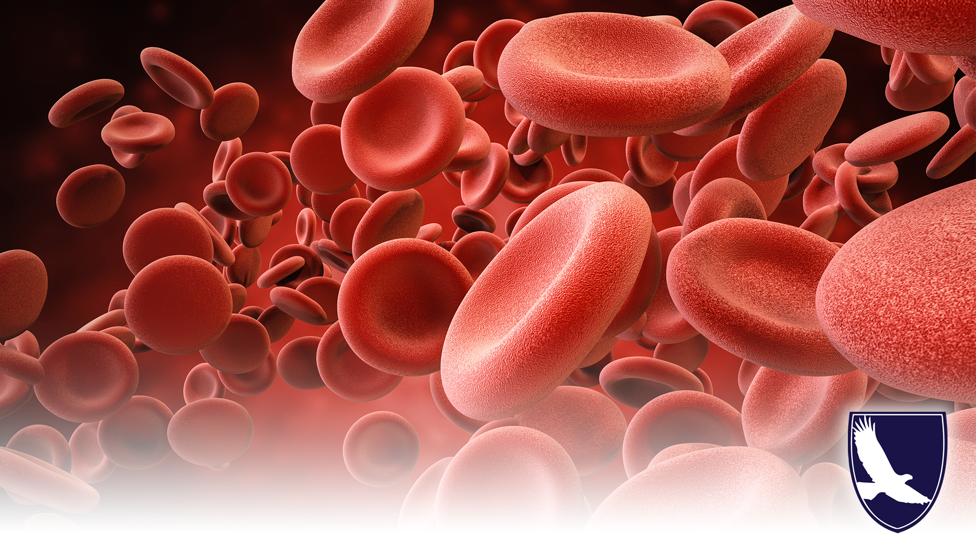 HOW DOES SOCIAL SECURITY ASSESS BLOOD DISORDERS FOR SSDI OR SSI